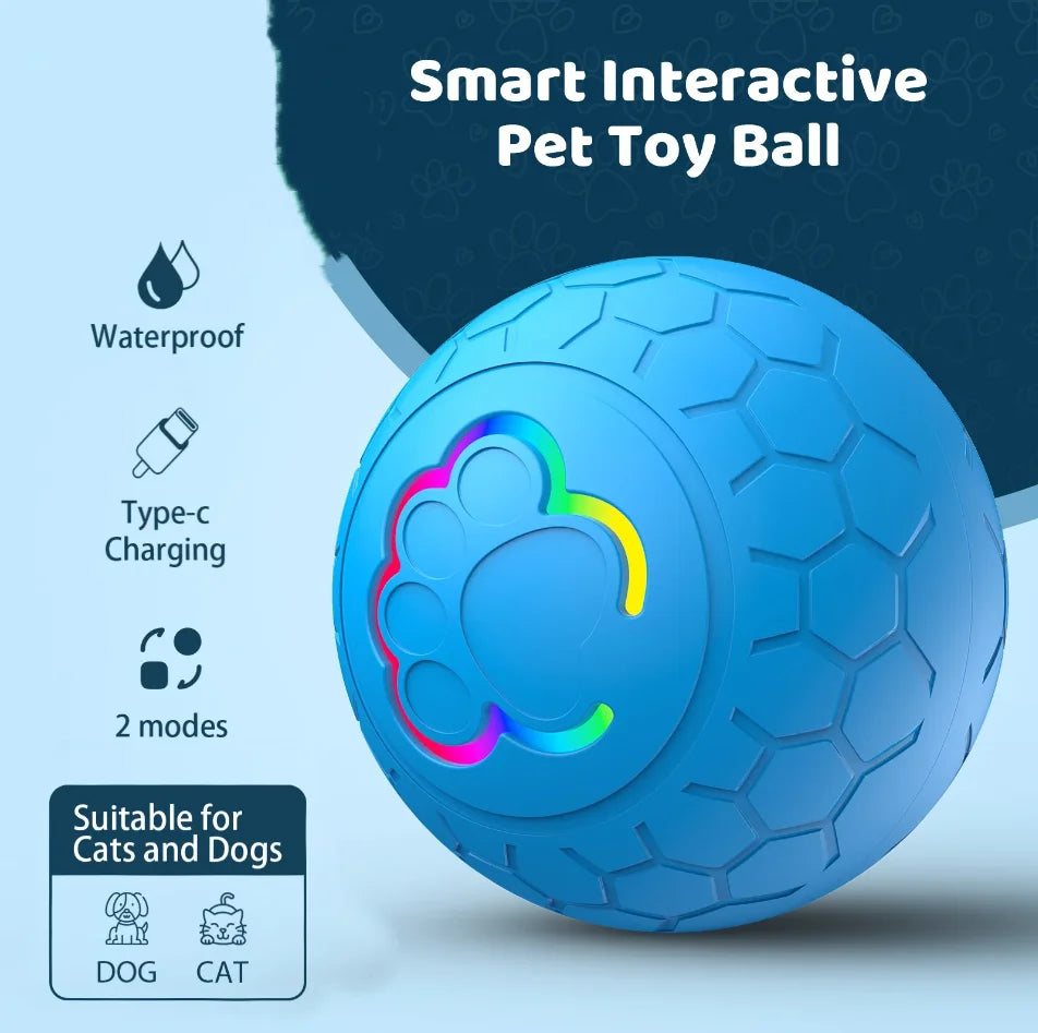 Balle lumineuse rebondissante pour chien 