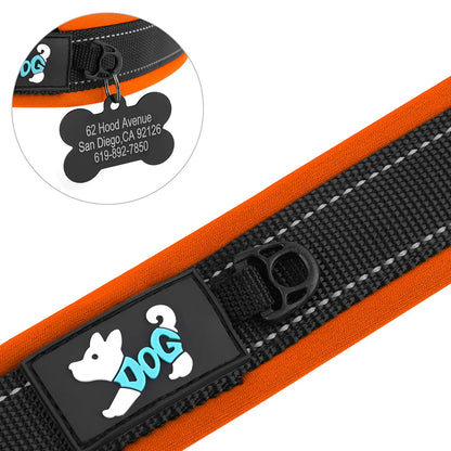 Gepolsterte Hundehalsbänder mit gratis graviertem ID-Tag