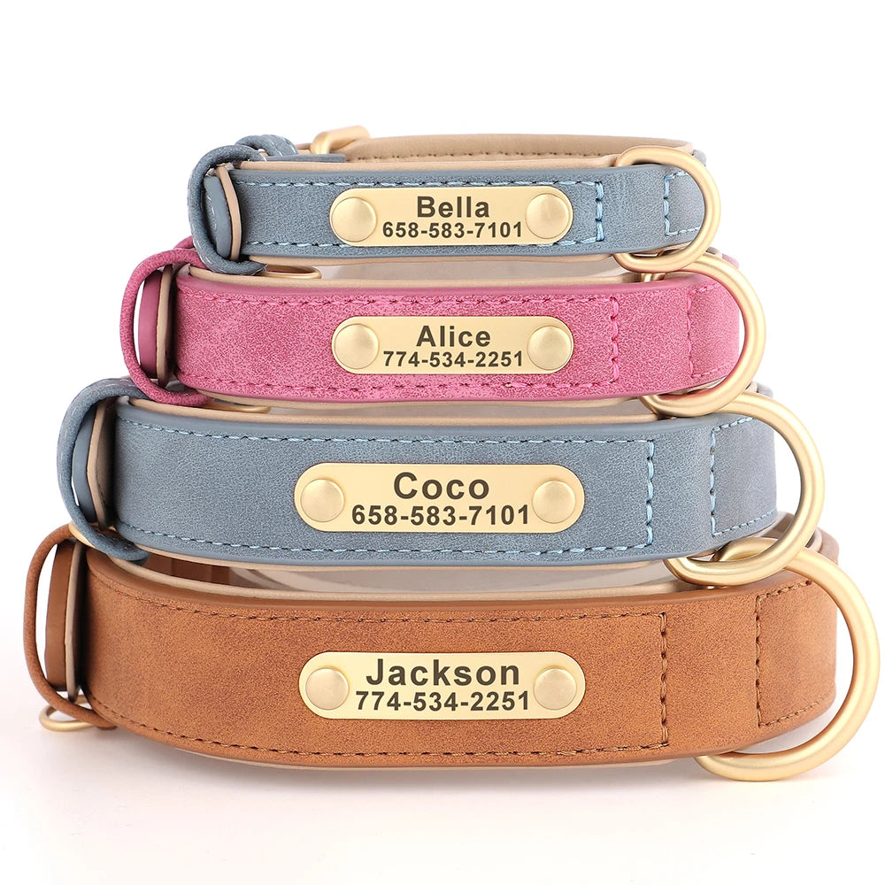Personalized Dog Collar -  Soft Padded Pet Necklace