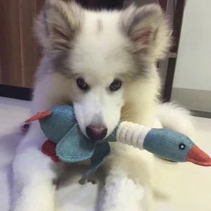 Enten-Hundespielzeug für aggressive Kauer – Hundetrainingsspielzeug