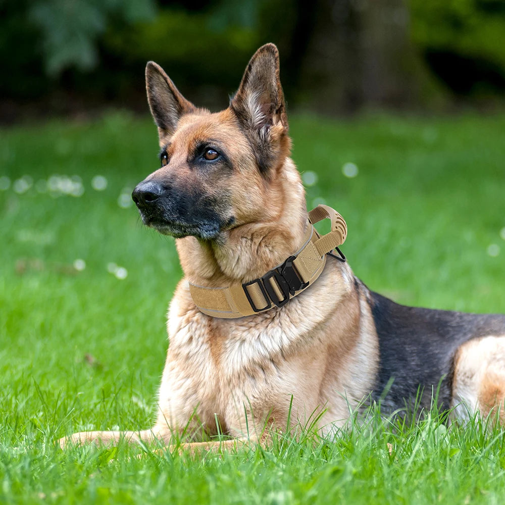 Strapazierfähiges Hundehalsband – militärische taktische Haustier-Trainingshalsbänder