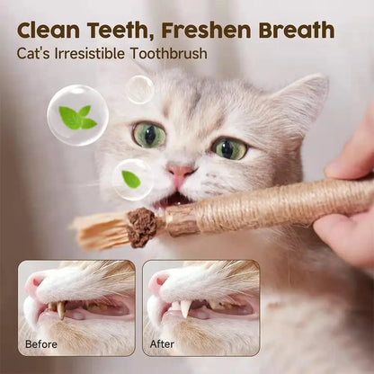 Cordes de nettoyage respirantes pour les dents des animaux de compagnie - Bâtonnets à mâcher pour chats 