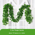 2.1m 72leaves B