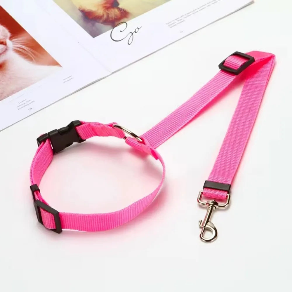 Ceinture de sécurité pour animaux de compagnie deux en un de couleur unie - Laisse en nylon Ceinture de sécurité pour siège arrière Accessoires pour animaux de compagnie 