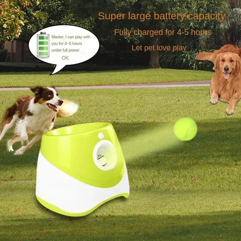 Automatic Dog Launcher for Interactive Play