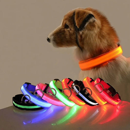 dog collar, led dog collar, nylon dog collar, dog accessories, led collar, pet collar, lighted dog collars, puppy collar
