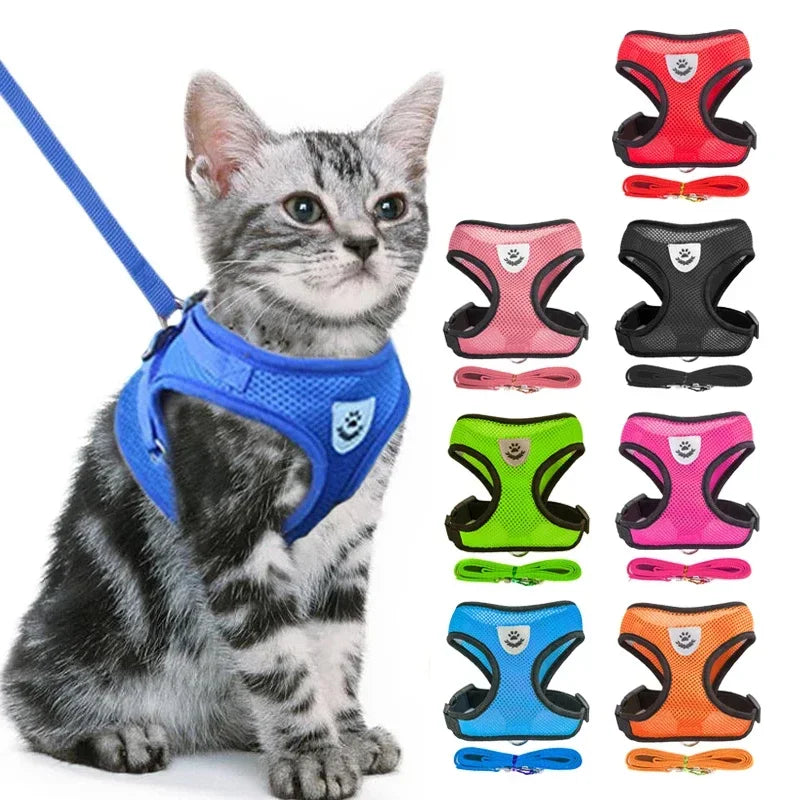 cat harness vest, harness leash, cat walking harness, small cat harness, cat accessories, harness lead, harness vest, adjustable cat harness, cat harness, cat leash, cat vest, lead leash,