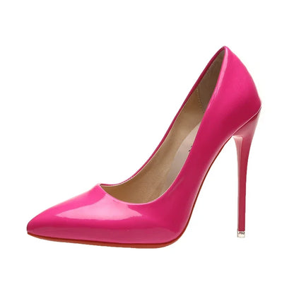 Women's Pointed Toe High Heels Shoes