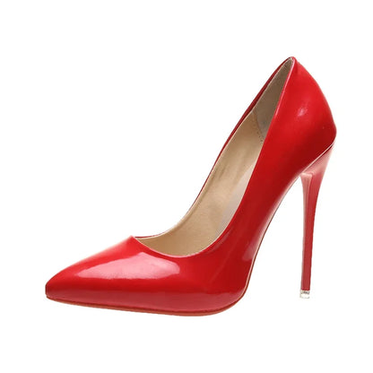 Women's Pointed Toe High Heels Shoes