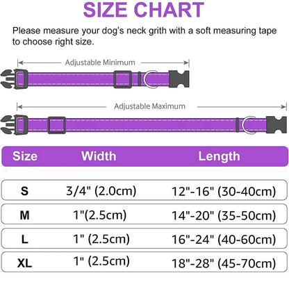 Adjustable Reflective Free Engraved Padded Dog Collars