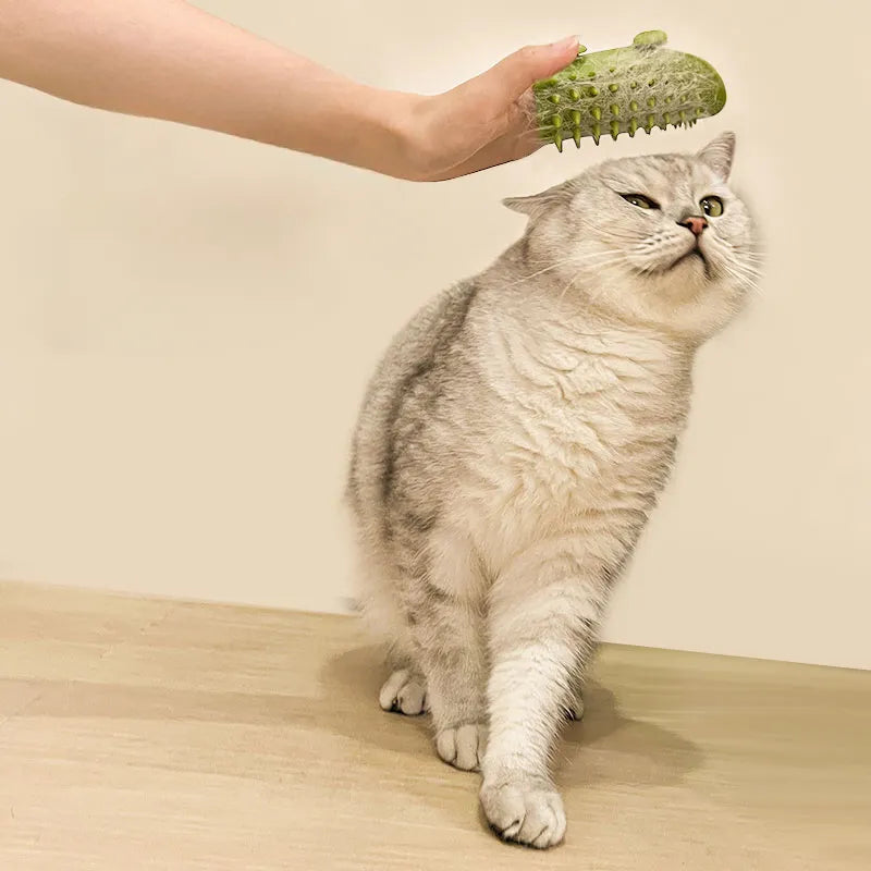 Haarentfernung bei Haustierkatzen – Fellpflegebürsten-Set