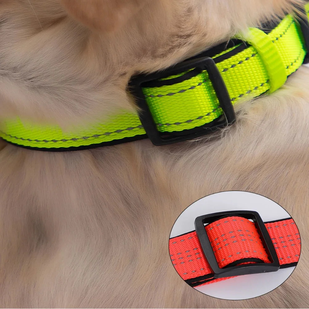 Reflektierendes, gepolstertes Hundehalsband – Haustierhalsbänder