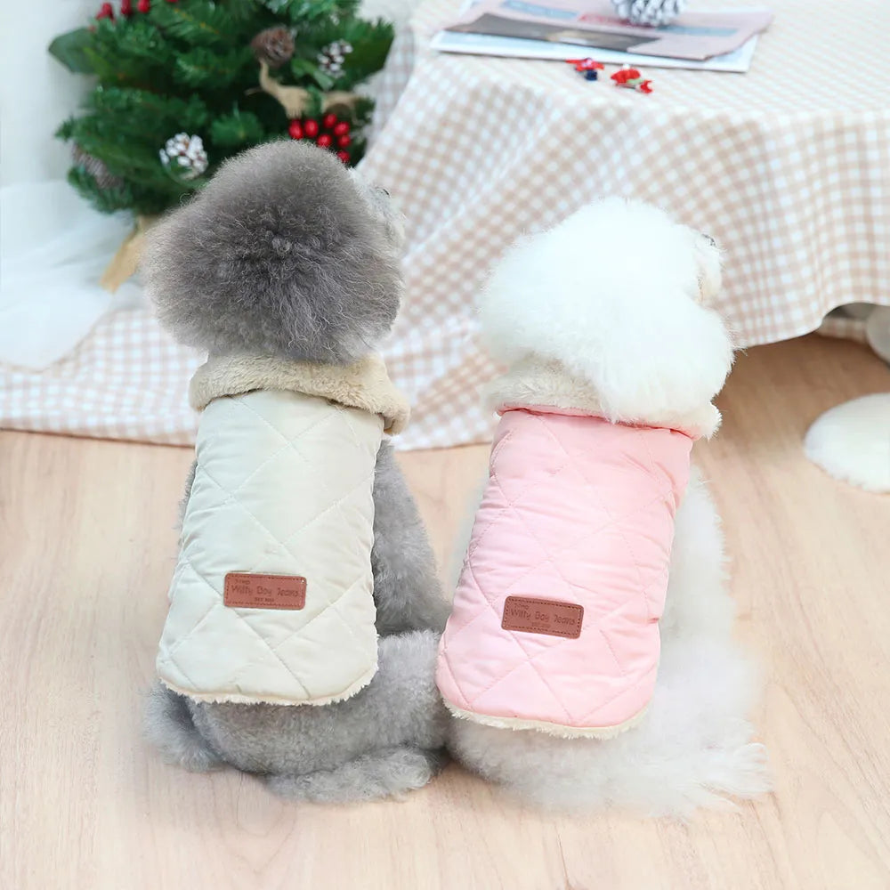 Warme Haustierkleidung – Outfits für kleine Haustiere