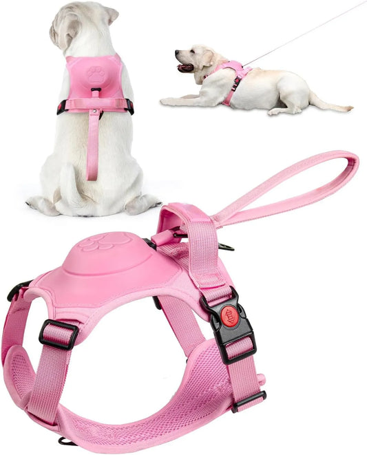 harness and leash, cat harness and leash, puppy harness and leash, dog harness and leash set, puppy collar and leash, dog harness and leash, no pull leash, dog collars and leads, gentle leader leash