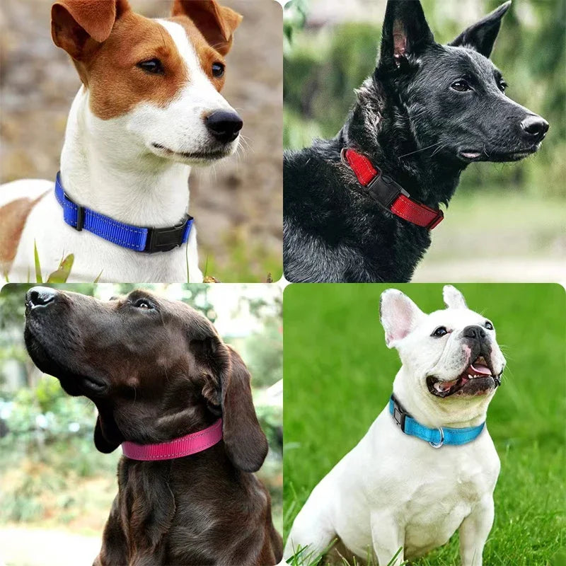 Adjustable Reflective Free Engraved Padded Dog Collars