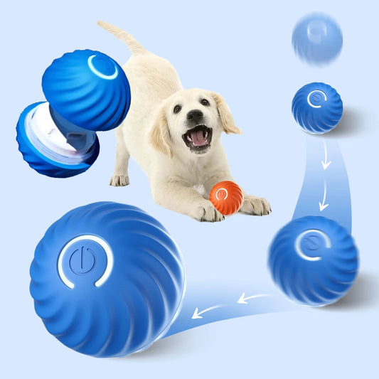 Balle interactive électronique pour chien