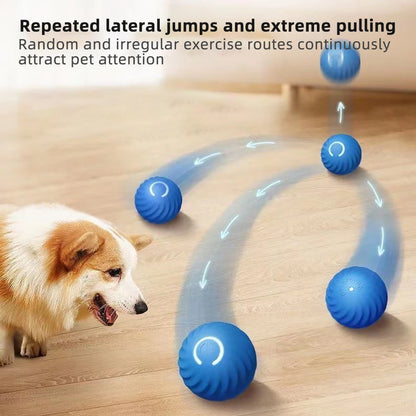 Balle interactive électronique pour chien
