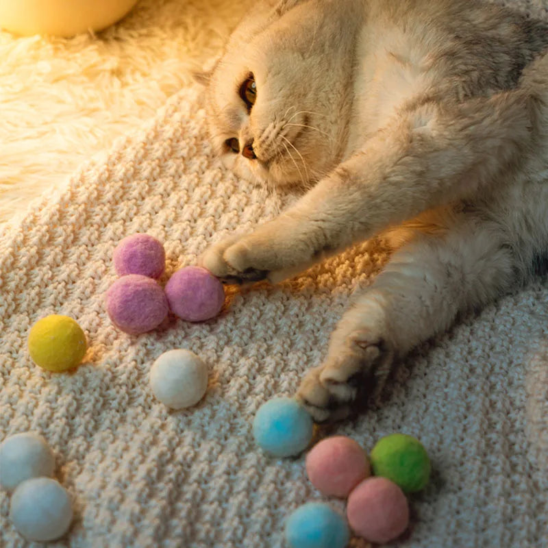 Interaktives Trainingsspielzeug für Katzen – Mini-Pompons-Spielzeugspiele