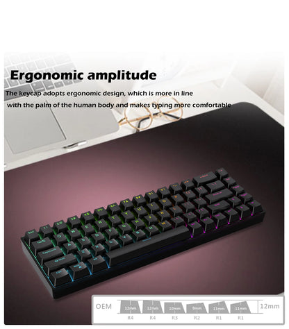 Clavier Raven68 Esports Magnetic Switch 8K Axis - Touche PBT transparente filaire à mode unique