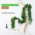 1pcs begonia leaf