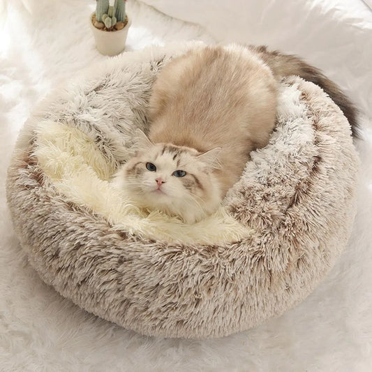 Coussin long et chaud, nid de chat confortable