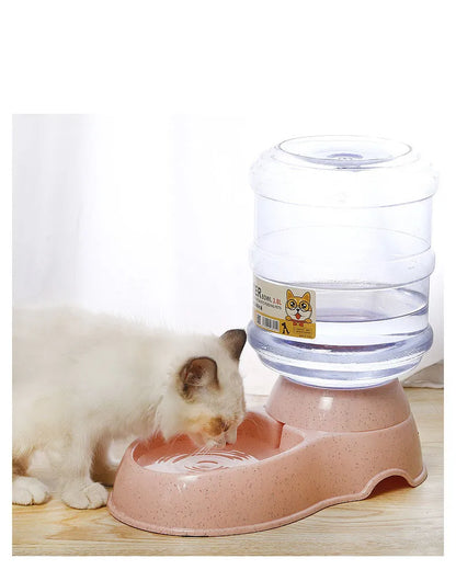 Bol de nourriture pour petit chien – Bol d'eau pour abreuvoir pour animaux de compagnie