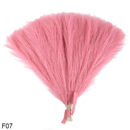 Bouquet d'herbe de pampa moelleux pour décoration DIY