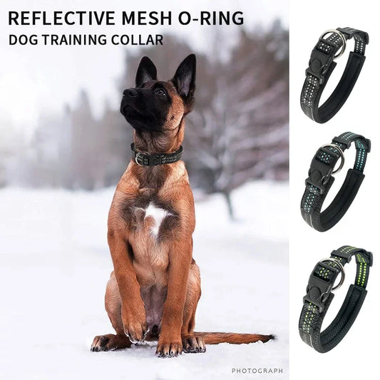 Reflektierendes Hundehalsband aus Seide – Trainingshalsband für Haustiere