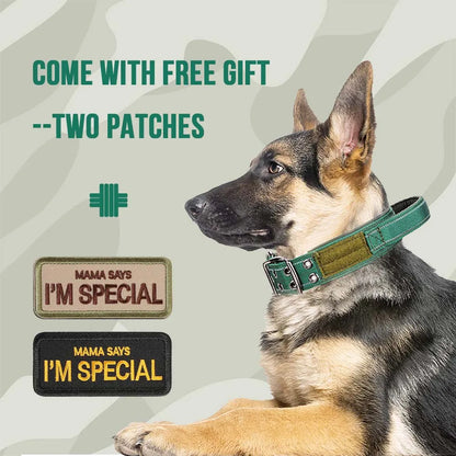 Taktisches Hundehalsband mit doppelter Schnalle – Hundehalsband in Militärqualität mit Griff