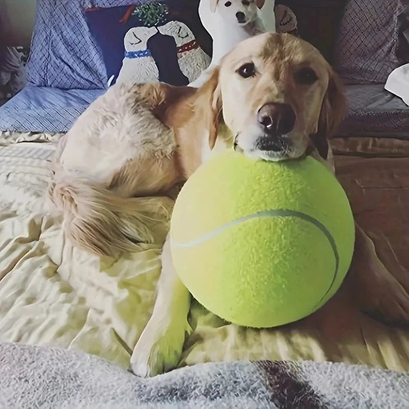 Balle de tennis géante de 9,5 pouces pour chiens