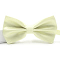 a02 Light Green