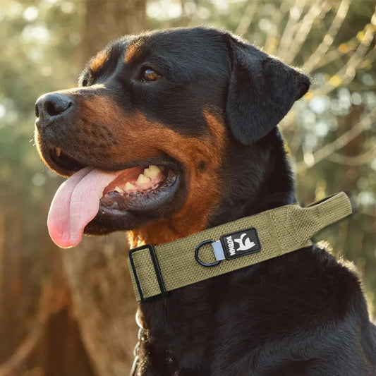 Collier tactique militaire pour chien – Colliers de dressage réglables pour grands chiens