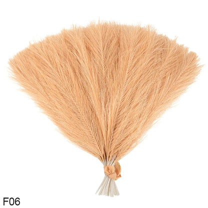 Bouquet d'herbe de pampa moelleux pour décoration DIY