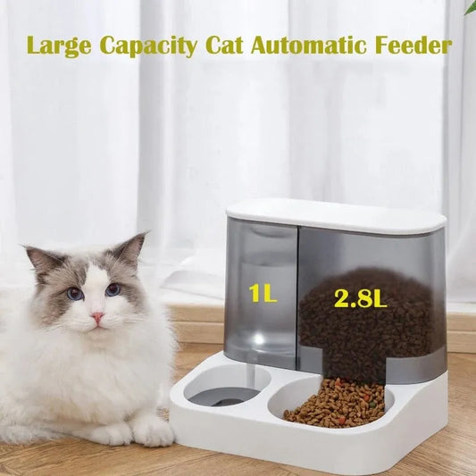 Distributeur automatique de nourriture pour chat de grande capacité-stockage de nourriture pour animaux de compagnie à séparation humide et sèche