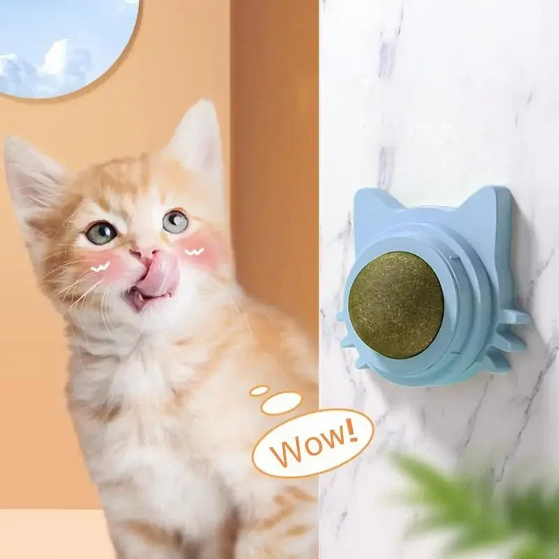 Catnip Balls Lickable Cat Snack Toy