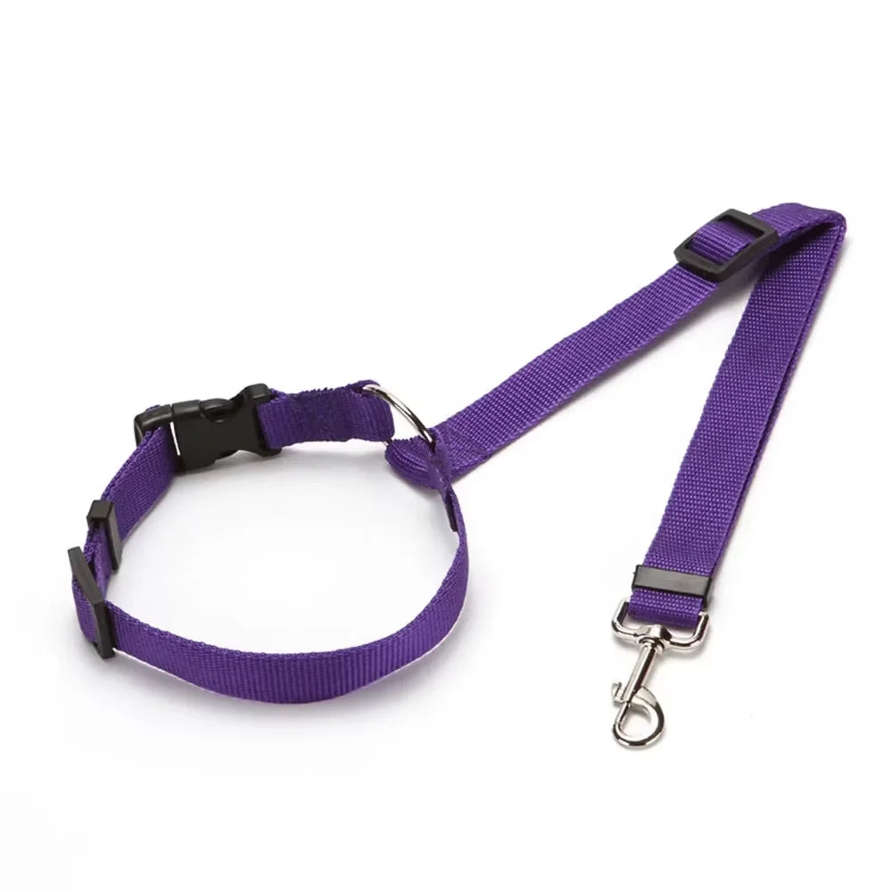 Ceinture de sécurité pour animaux de compagnie deux en un de couleur unie - Laisse en nylon Ceinture de sécurité pour siège arrière Accessoires pour animaux de compagnie 