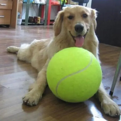 Balles de tennis géantes pour chien à mâcher et à jouer