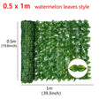 0.5 x1M Melon leaves