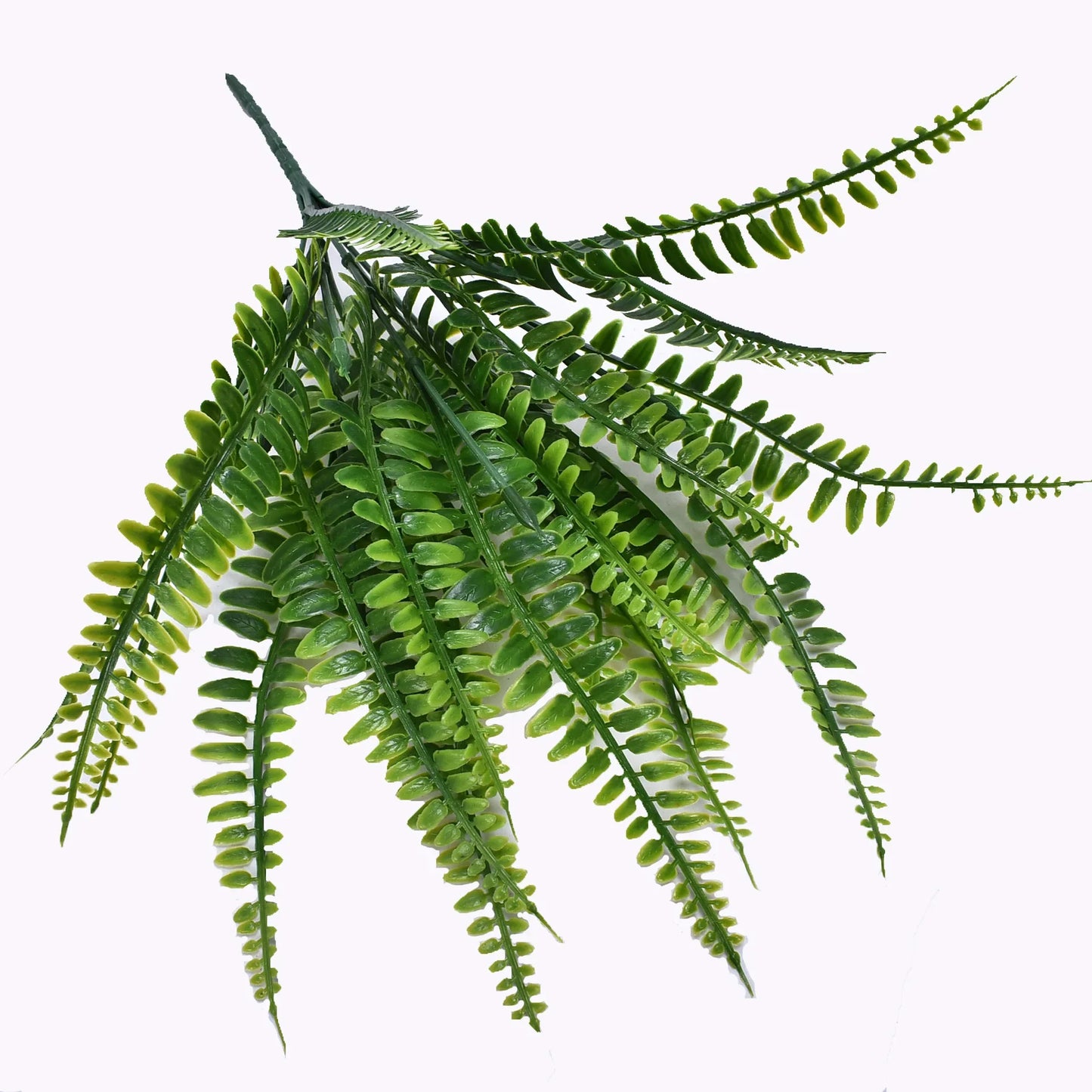 Artificial Plastic Boston Fern Plants