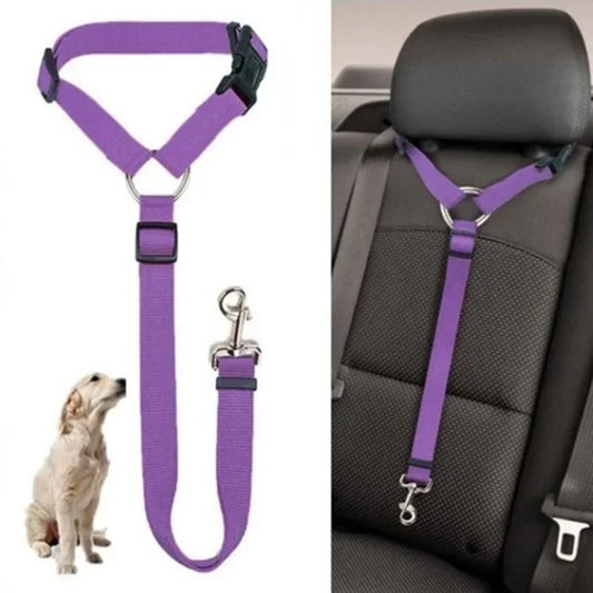 seat belt, car seat belt, pet safety belt, seat belt car seat, seat belt safety, pet car seat nearby,