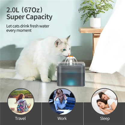 Pet Water Bowl - Transparent Large Capacity 2L Pet Water Dispenser