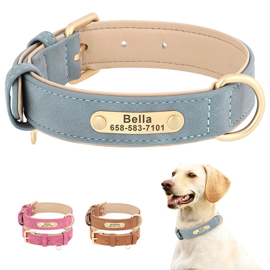 Personalized Dog Collar -  Soft Padded Pet Necklace