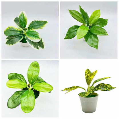 Simulation von Scindapsus-Bonsai-Topf-Kunstgrünpflanzen