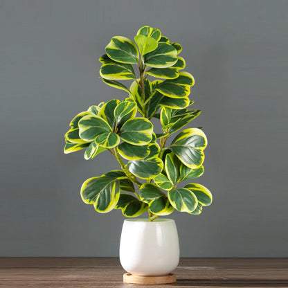 Künstliche Ficus-Pflanzen für künstliche Heimbegrünung