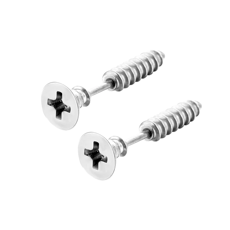 Black Stainless Steel Screw Stud Earrings