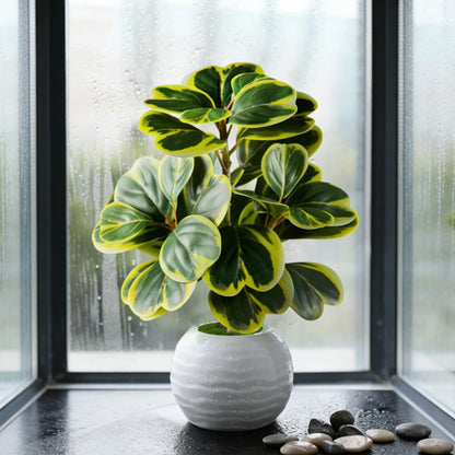 Künstliche Ficus-Pflanzen für künstliche Heimbegrünung