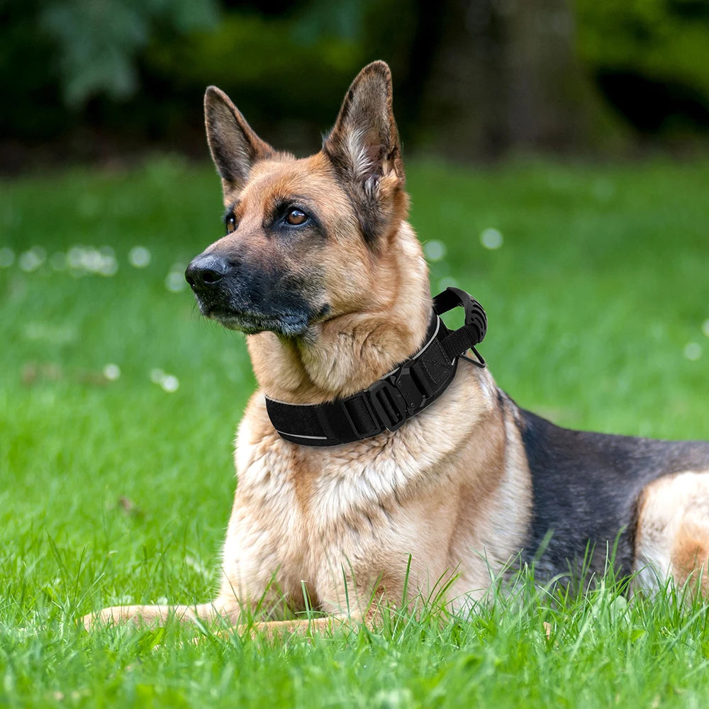 Collier pour chien durable – Colliers de dressage tactiques militaires pour animaux de compagnie.