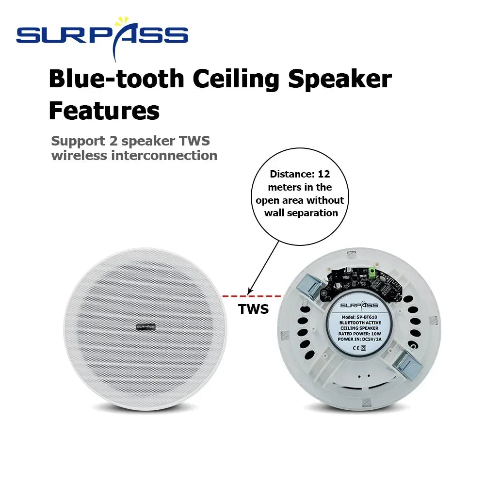 6-Inch 3D Stereo Bluetooth Ceiling Speaker