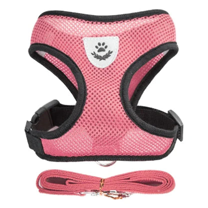 Harnais pour chat, gilet, laisse, collier, polyester - Accessoires réglables pour animaux de compagnie