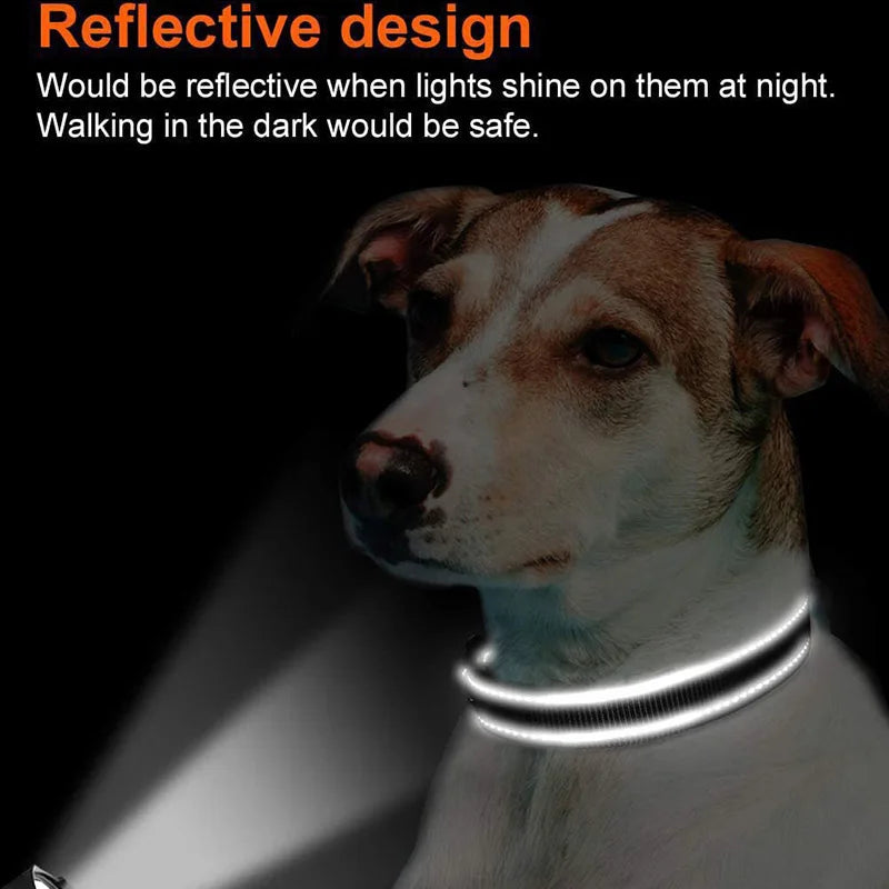 Adjustable Reflective Free Engraved Padded Dog Collars